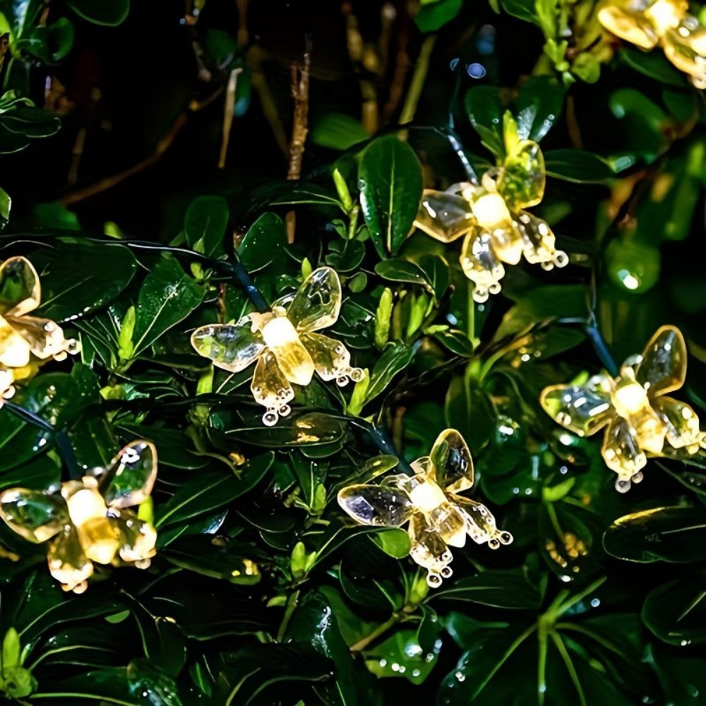 Crystal Butterfly Outdoor Fair - Outdoor Power For Wedding recensie en prijs